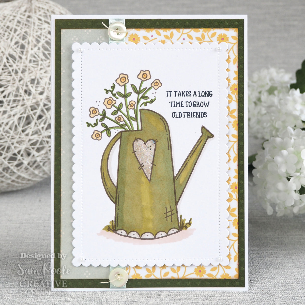 Creative Expressions Sam Poole Friendship Watering Can Set de Tampons Transparents 6 po x 4 po