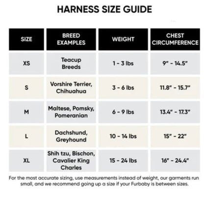 Chewy Vuitawn Dog Harness and Leash Set | Dog Harness Set