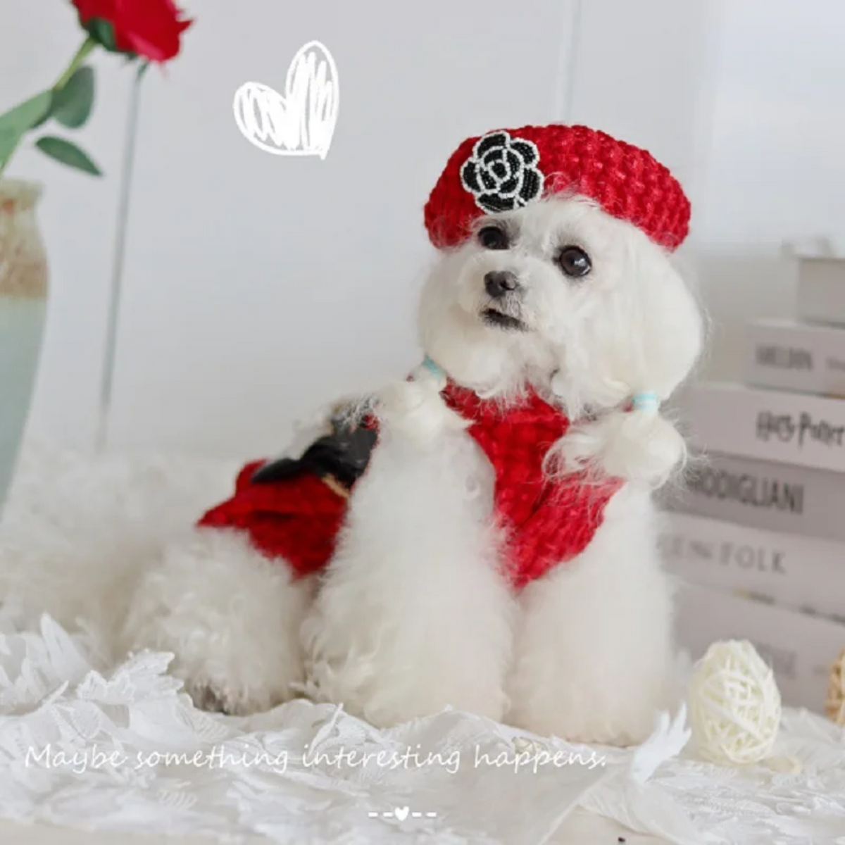 Coco Tweed Outfit Set | Dog Vest or Dress Set