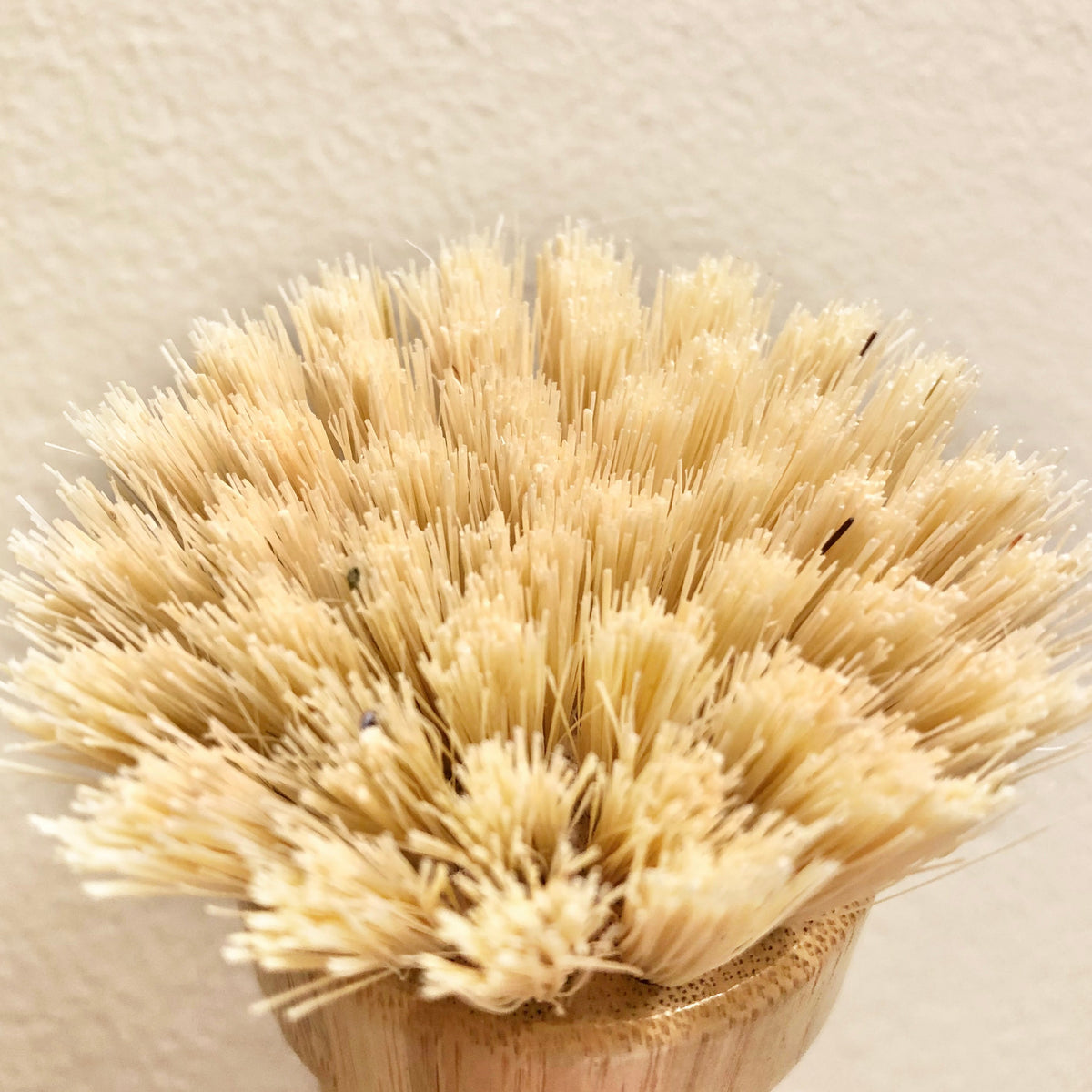 Brosse à récurer avec pommeau en bambou