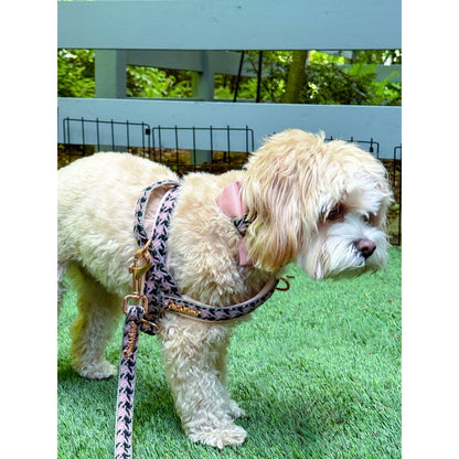Harnais pour chien Elite One-Click
