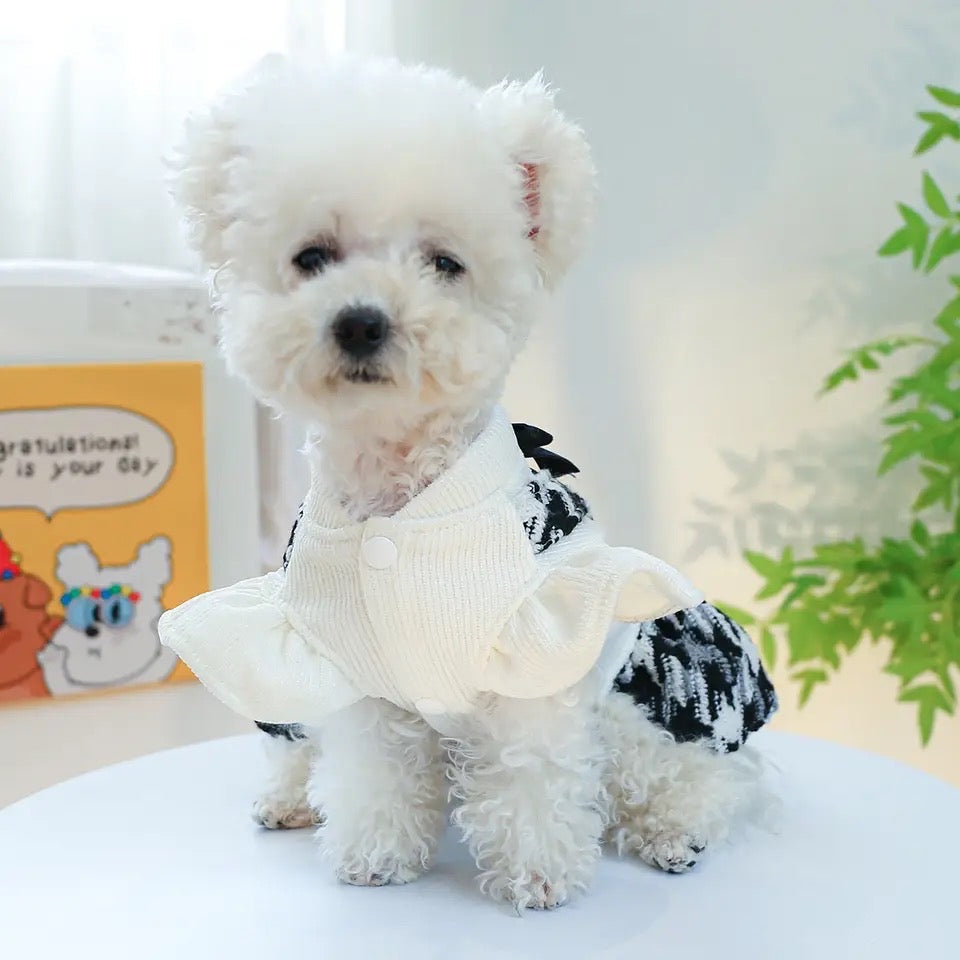 Robe pour chien Mademoiselle Tweed | Robe de mode pour animaux de compagnie