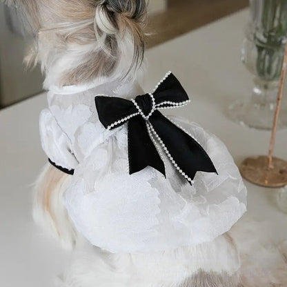 Robe Chewnel pour chiens – Tenue élégante pour chien