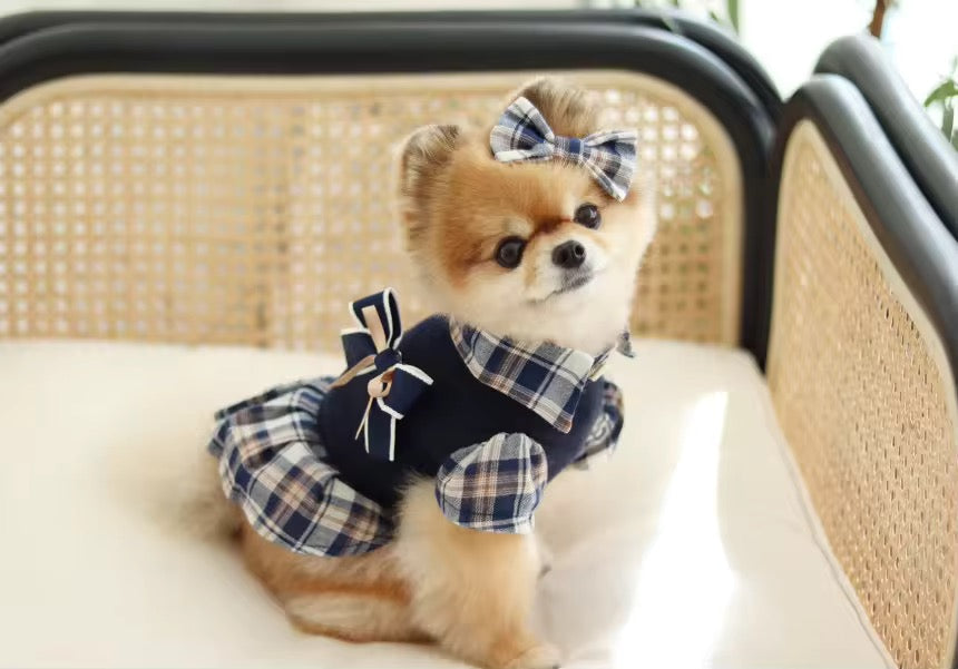 Fiona Set – Luxury Plaid Outfit Set for Dogs