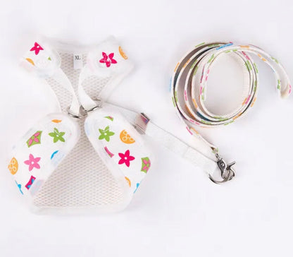 Chewy Vuitawn Pearl Dog Harness and Leash Set | Dog Harness Set