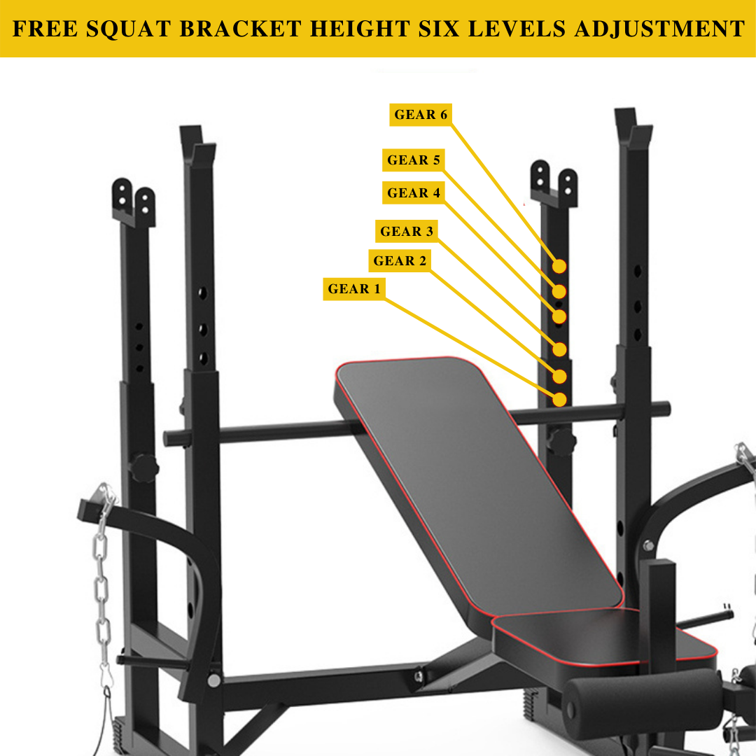Banc de musculation réglable avec poulie de traction, pupitre à biceps et support pour barre ST6655