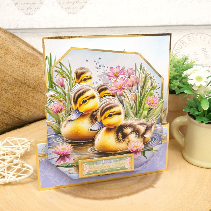 Deco-Large Le printemps est là – Une journée canardement bonne