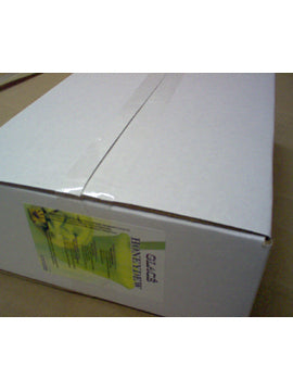Honeydew 4 in 1 Mix for Bubble Tea, Smoothies, Lattes and Frappes, 3 lbs. Bag (Case 6 x 3 lbs. Bags)  - Multi-Use Powdered Beverage Mix - Ships Free Within Canada on Orders Above CAD $199