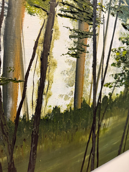 Shady Lake Trail