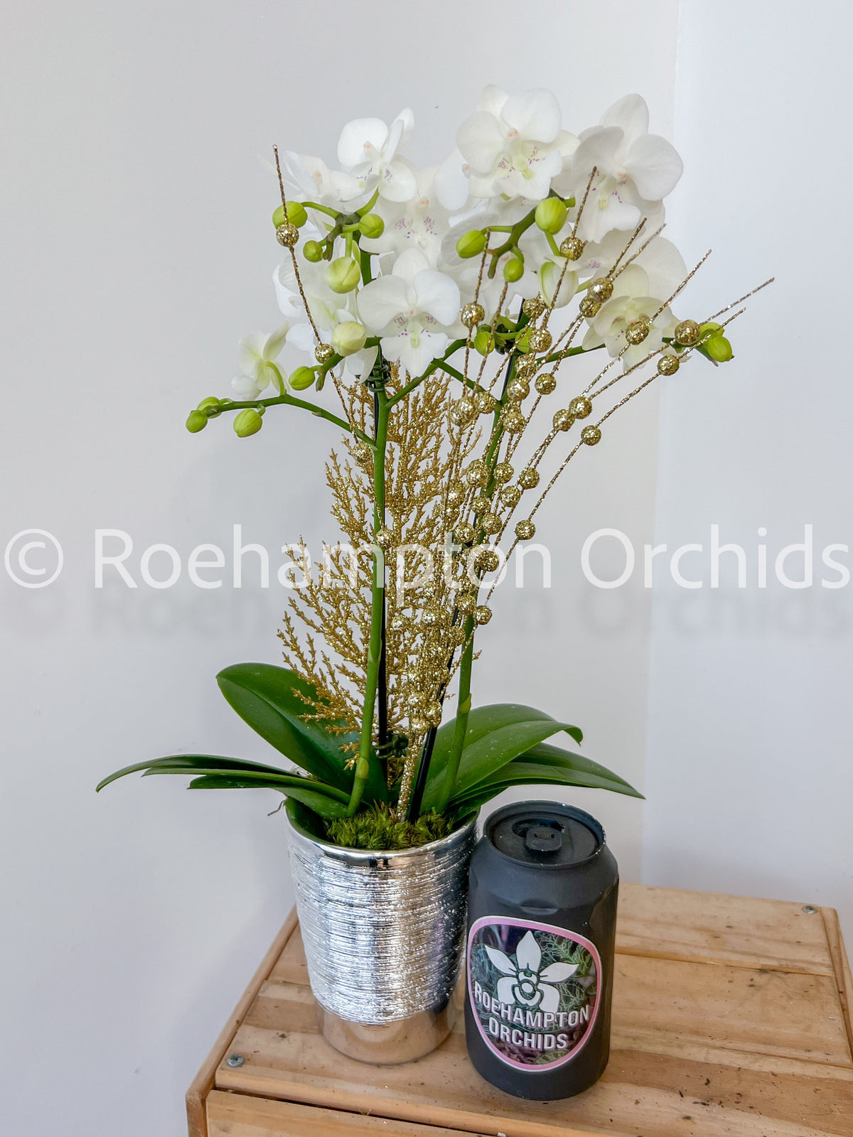 Orchidée de Noël enchantée