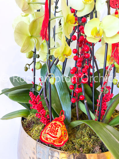 Golden Lucky Arrangement