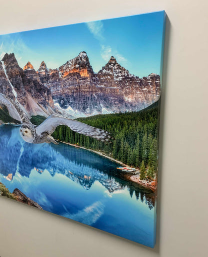 Canvas Wildlife Art-Snowy Owl at Banff-Printed Artwork