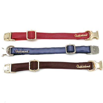 Cherry leash with hands-free extension