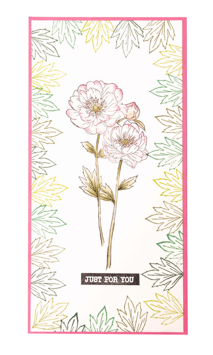 JMA Tampon transparent Éléments Pivoine Essentiels 148x105x3mm 8 pièces n°339