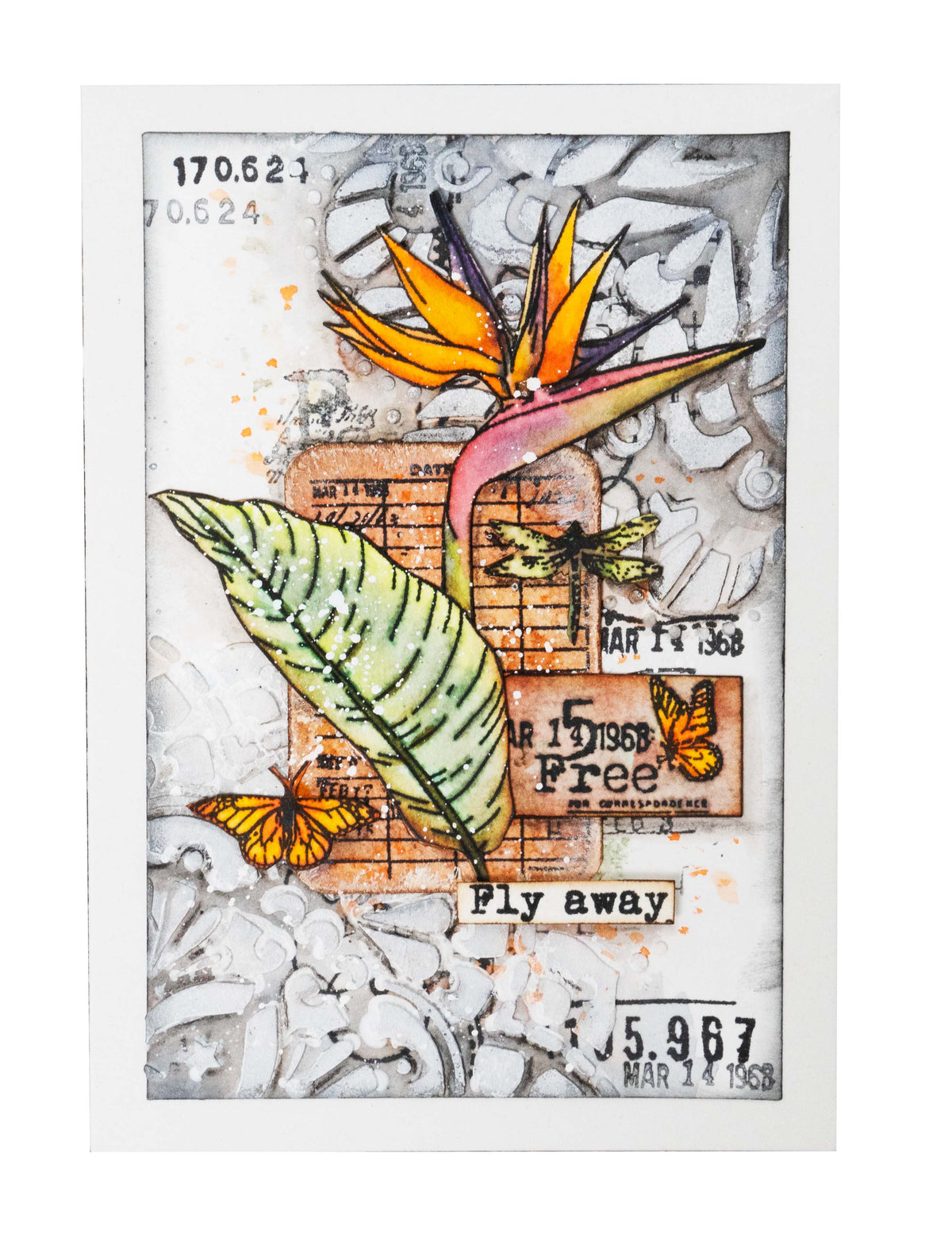 JMA Tampon Transparent Script Strelitzia Feelings Of Freedom 88x197x3mm 1 pc n°420