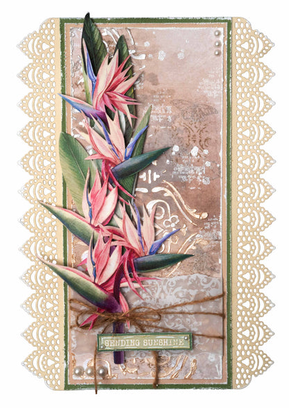 JMA Matrice de Découpe Dentelle Bordure Sentiments de Liberté 103x210x1mm 7 PC nr.515