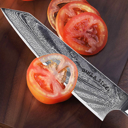 Ginza Steel KATANA 20 Chef Knife 8” – Damascus VG10 Steel, 67-Layer, G10 Handle