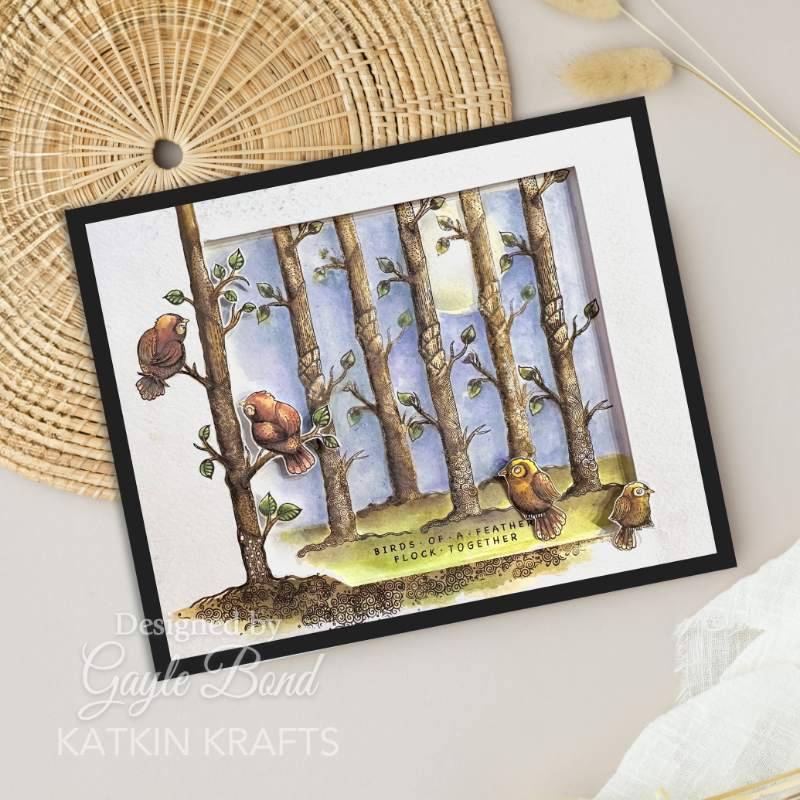 Katkin Krafts Bright Birds, lot de tampons transparents 6 po x 8 po