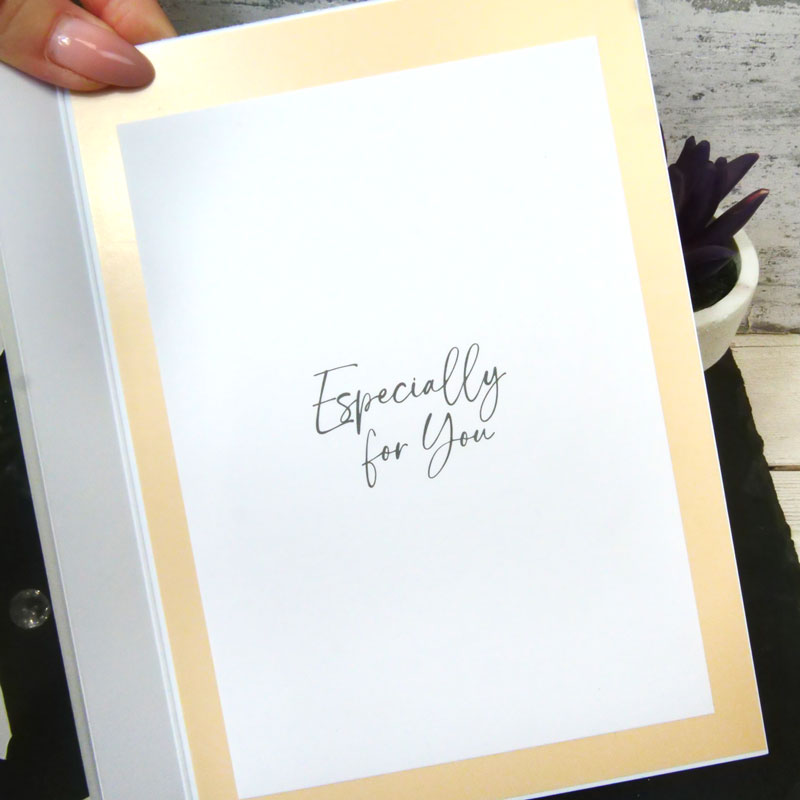 Le petit livre des encarts