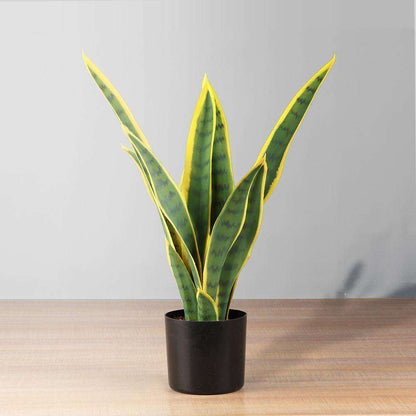 Leti Sansevieria Artificielle en Pot 53 cm