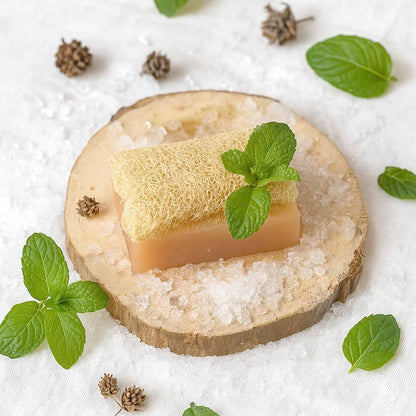 Éponge Végétale et Savon : Menthol