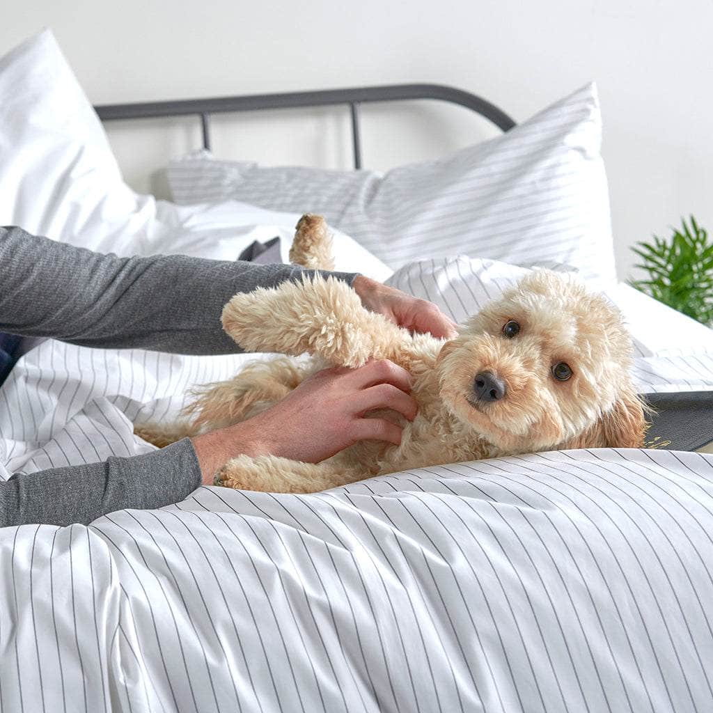 Lot de taies d'oreiller essentielles en percale de coton biologique