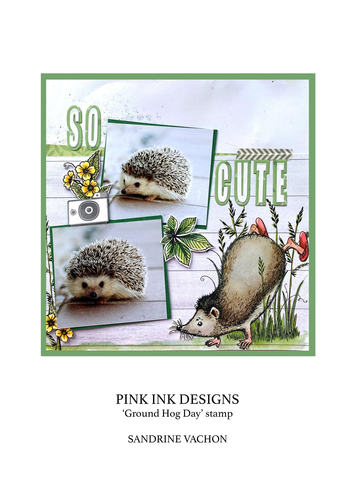 Pink Ink Designs Jour de la Marmotte Ensemble de Tampons Transparents 15,24 cm x 20,32 cm