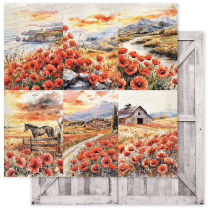 Collection de papiers Pavots de base 30x30 cm 34644