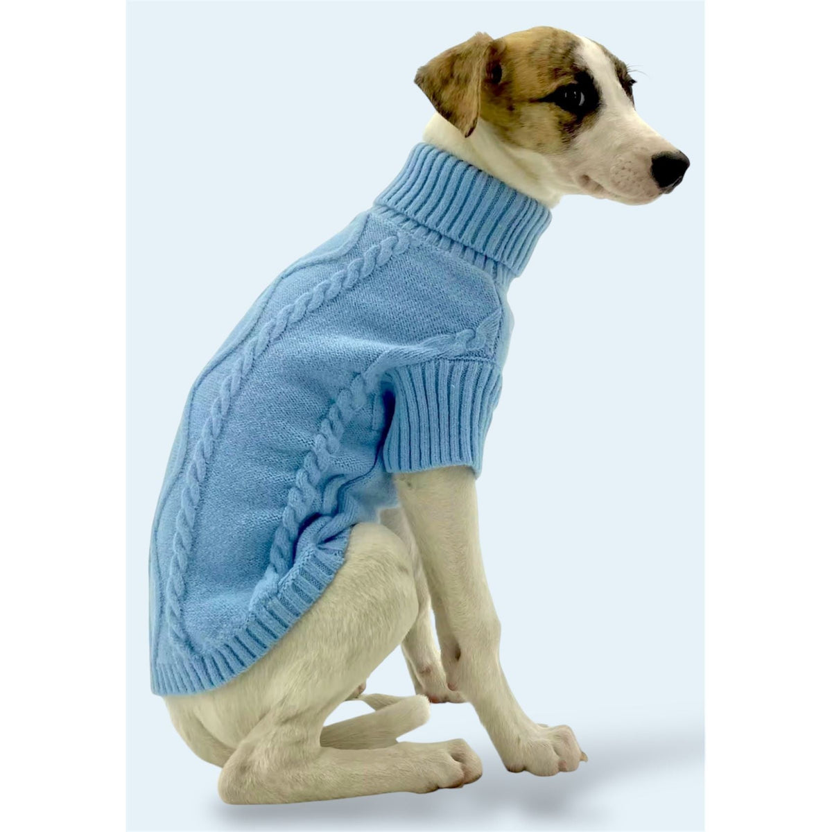 Blue Sweater with D-ring