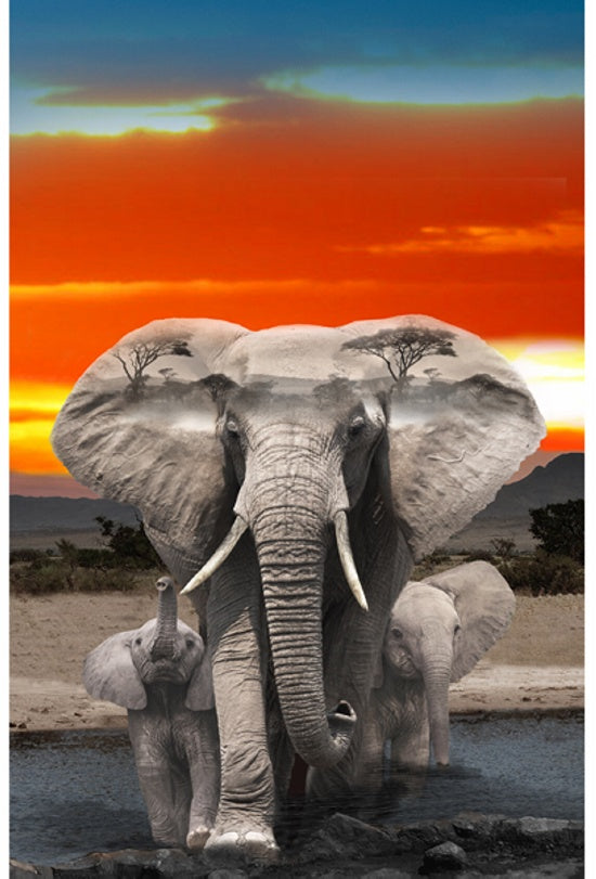 Tableau du royaume sauvage - Éléphant