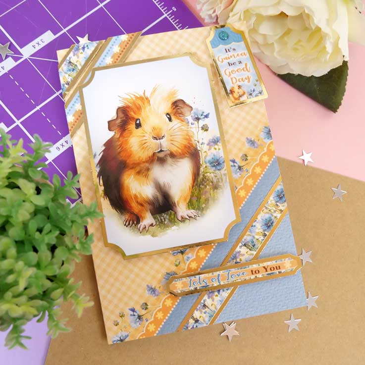 Cartes Éclair - Animaux de Compagnie Parfaits