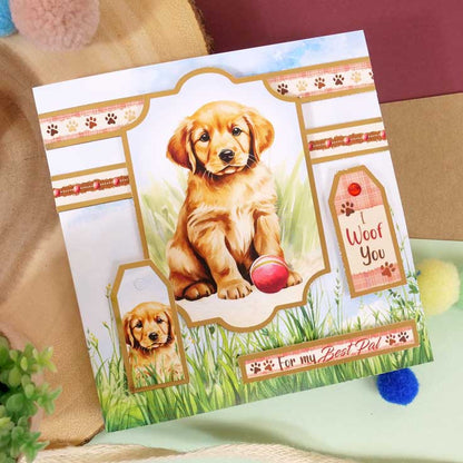 Cartes Éclair - Animaux de Compagnie Parfaits