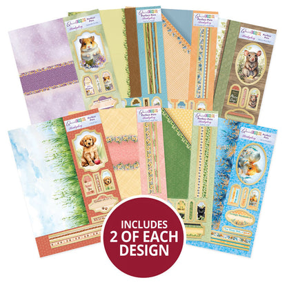 Cartes Éclair - Animaux de Compagnie Parfaits