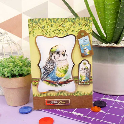 Cartes Éclair - Animaux de Compagnie Parfaits