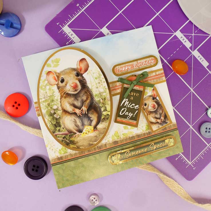 Cartes Éclair - Animaux de Compagnie Parfaits