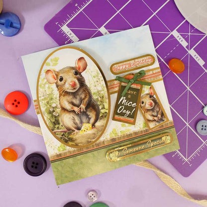 Cartes Éclair - Animaux de Compagnie Parfaits