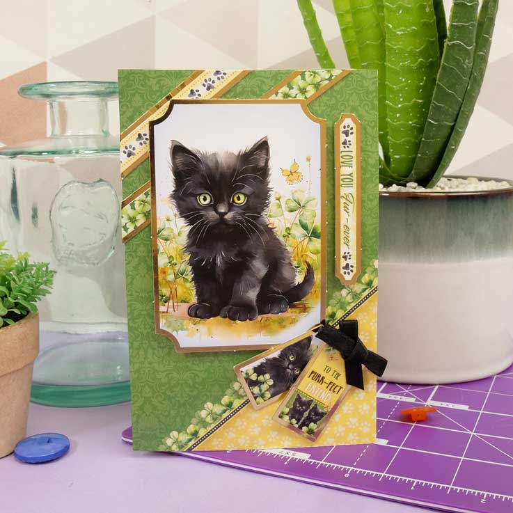 Cartes Éclair - Animaux de Compagnie Parfaits