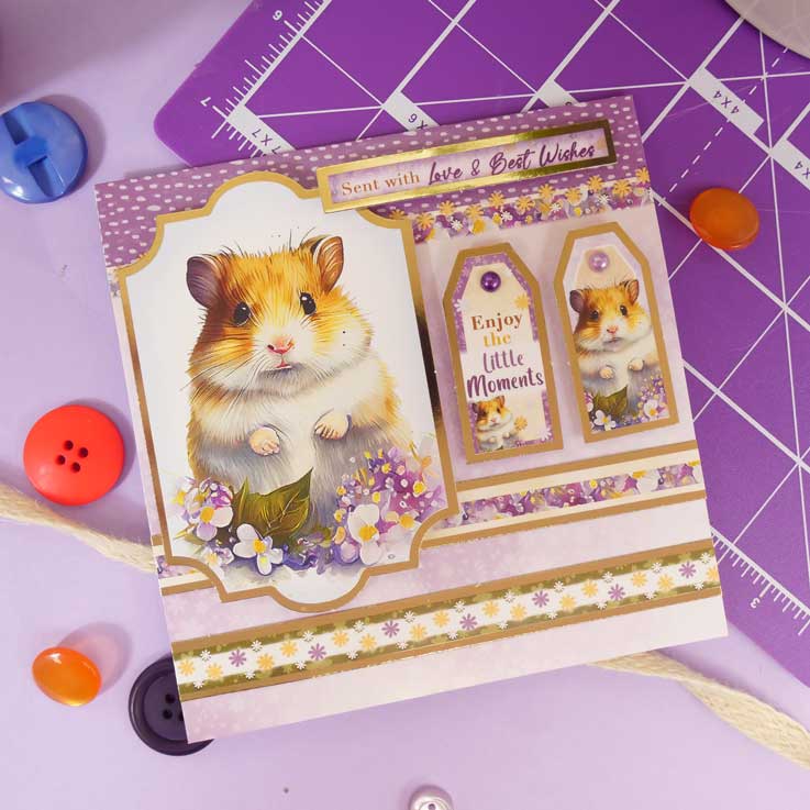 Cartes Éclair - Animaux de Compagnie Parfaits