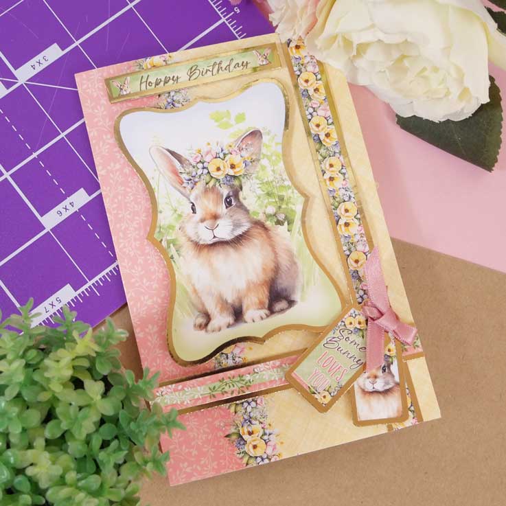 Cartes Éclair - Animaux de Compagnie Parfaits