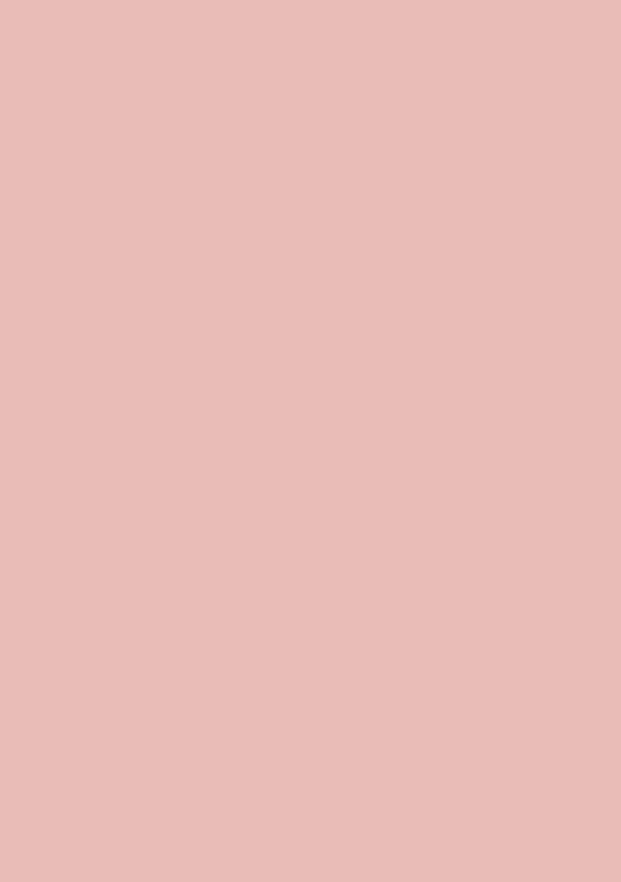 Bloc de papier SL Double face Unicolore Blushed Essentials 148x210x9mm 36 feuilles n°52