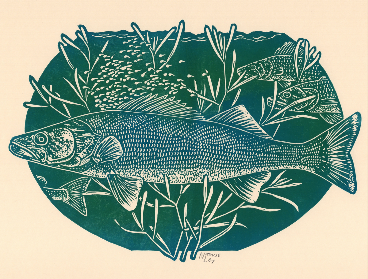 'Walleye' lino print