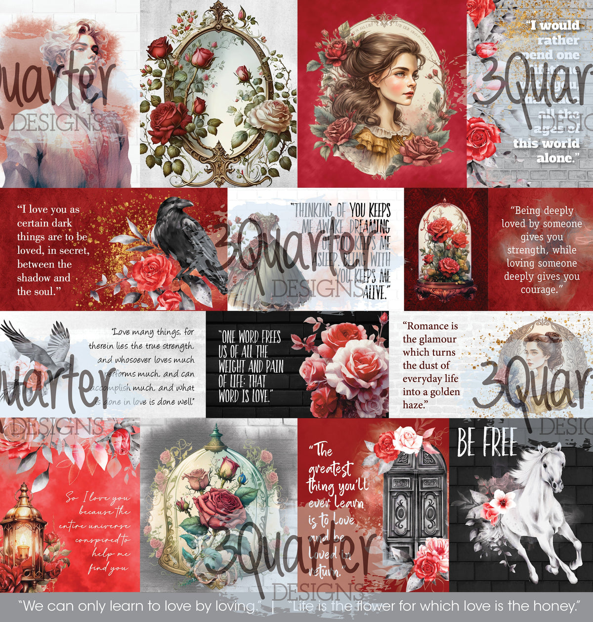 Spellbound Rose 12x12 Collection Pack