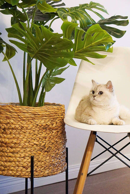 Plante Artificielle en Pot Tera Monstera