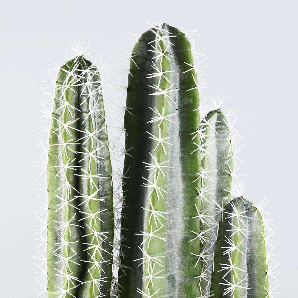 Tito Artificial Cactus Potted Plant 41''