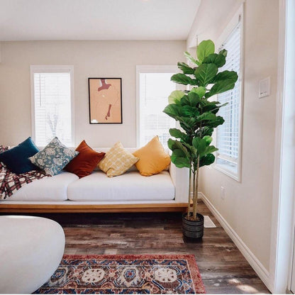 Plante artificielle en pot Alva Fiddle Leaf (Plusieurs tailles)