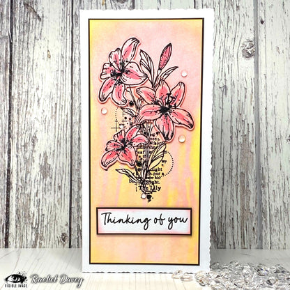 Visible Image Tampons et Dies Coordonnés Lilies With Love