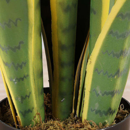 Zora Serpent Artificiel Sansevieria Plante en Pot Jaune et Verte 30''