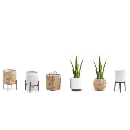 Zora Serpent Artificiel Sansevieria Plante en Pot Jaune et Verte 30''