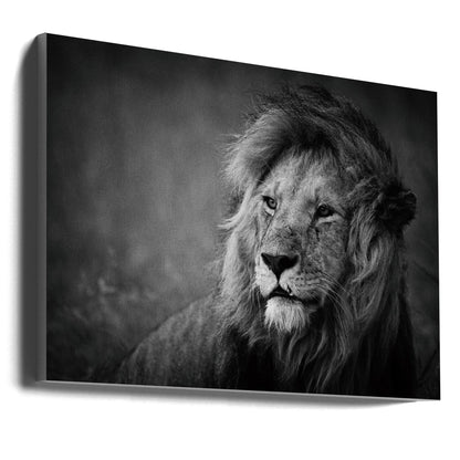 Wall art Regal. Lion