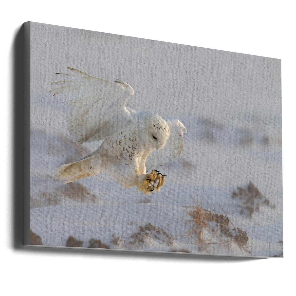 Wall art Landing
